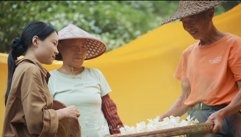 广告人干货库 一家国产香氛品牌,用纪录片溯源香气里的中国植物-广告人干货库
