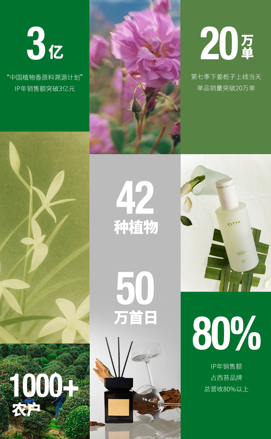 广告人干货库 一家国产香氛品牌,用纪录片溯源香气里的中国植物-广告人干货库