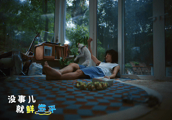 广告人干货库 盒马:爱发现新鲜的人,总在给生活提鲜!-广告人干货库