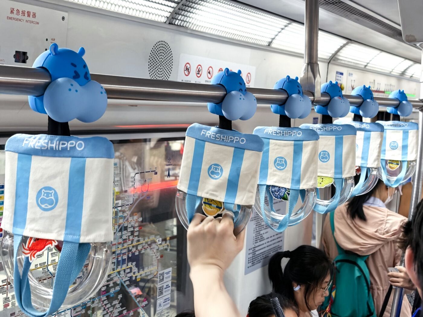 广告人干货库 盒马:爱发现新鲜的人,总在给生活提鲜!-广告人干货库