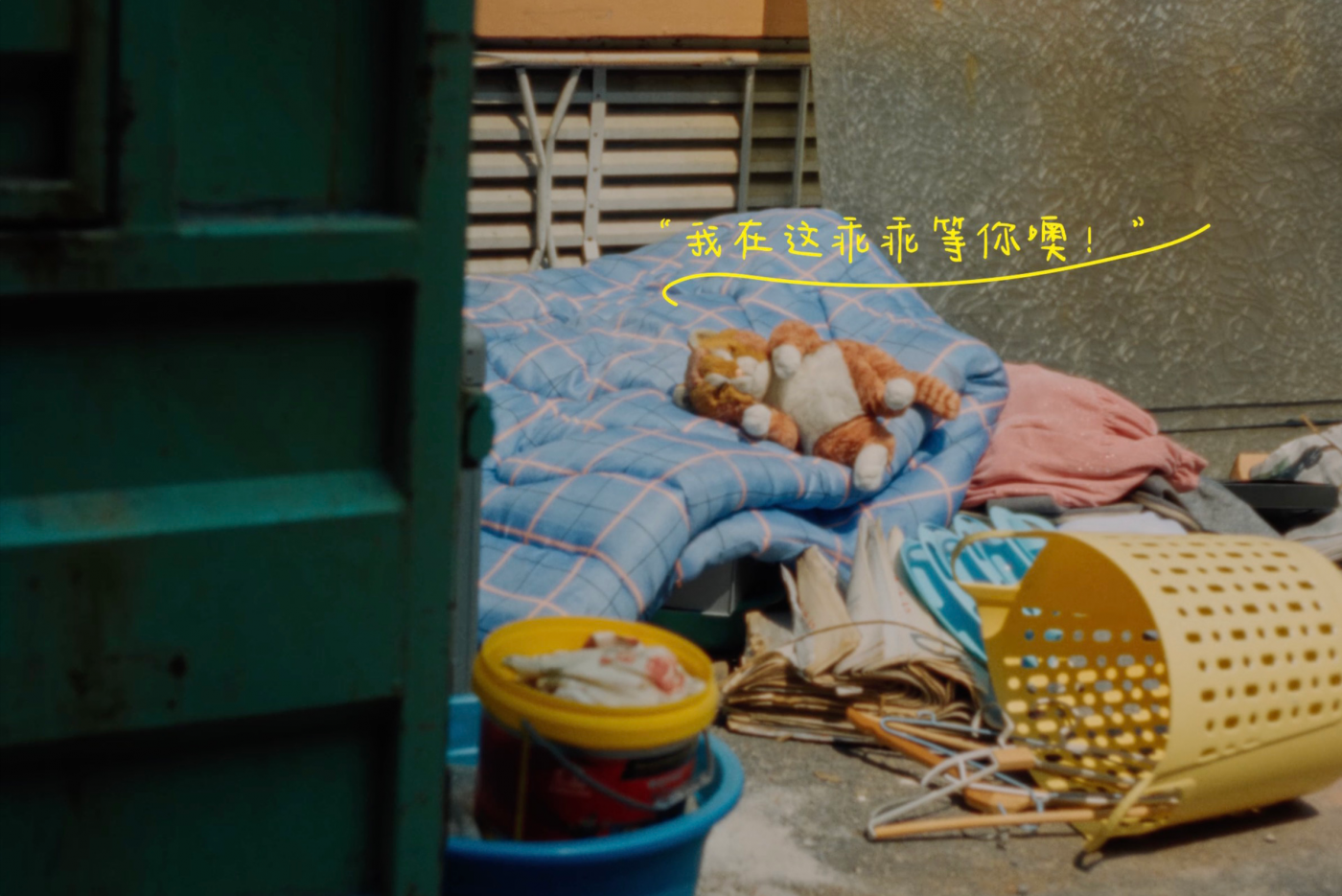 广告人干货库 天猫绿动生活公益短片:垃圾堆不是它们的家-广告人干货库