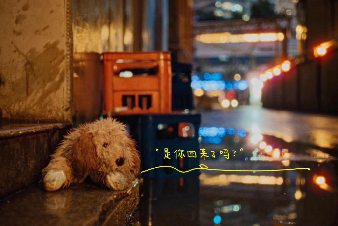 广告人干货库 天猫绿动生活公益短片:垃圾堆不是它们的家-广告人干货库