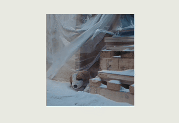 广告人干货库 天猫绿动生活公益短片:垃圾堆不是它们的家-广告人干货库