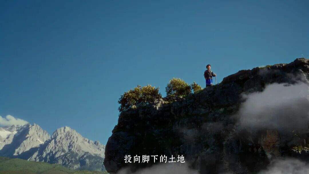 云南白药×周深：深信土地的人，会长出自己的山河-广告人干货库
