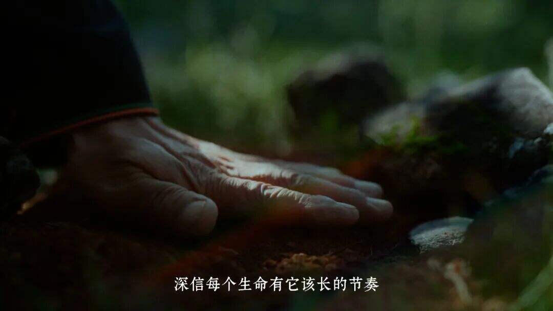 云南白药×周深：深信土地的人，会长出自己的山河-广告人干货库