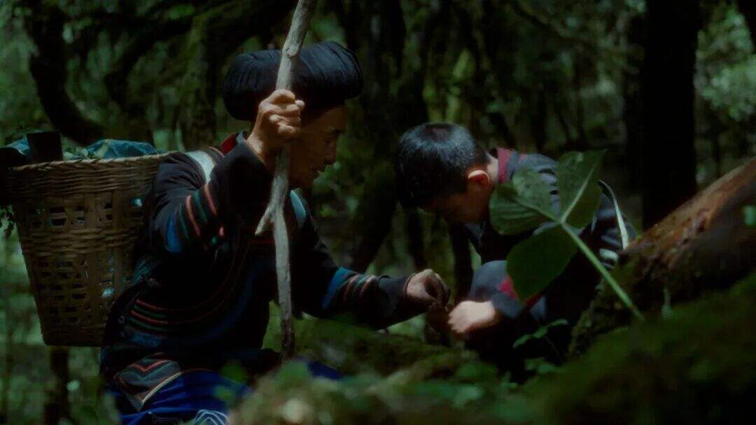 云南白药×周深：深信土地的人，会长出自己的山河-广告人干货库