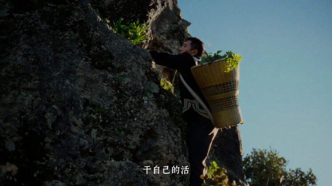 云南白药×周深：深信土地的人，会长出自己的山河-广告人干货库