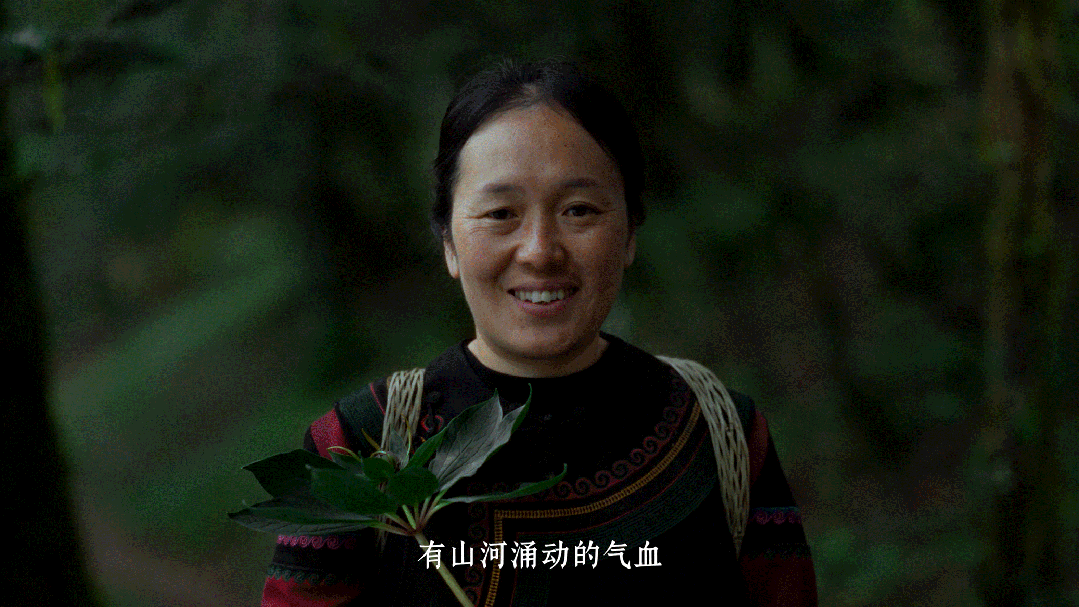 云南白药×周深：深信土地的人，会长出自己的山河-广告人干货库