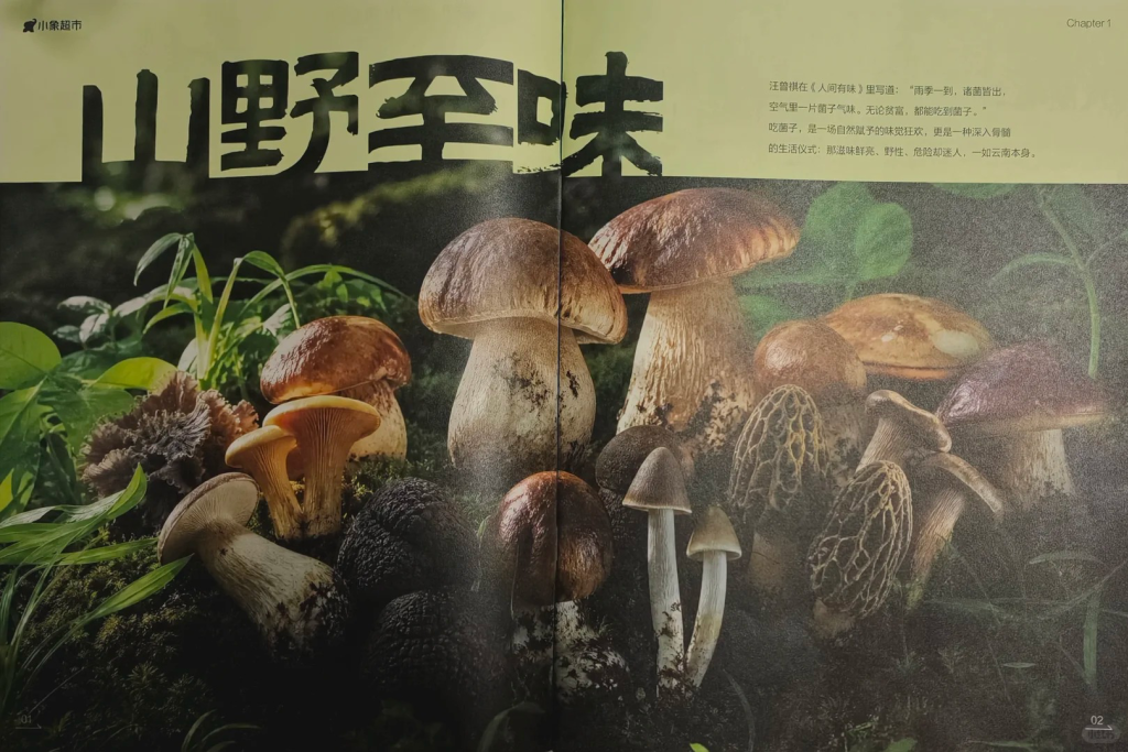 小象超市活人感文案刷屏社交平台-广告人干货库