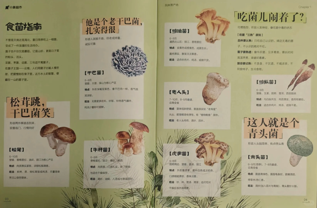 小象超市活人感文案刷屏社交平台-广告人干货库