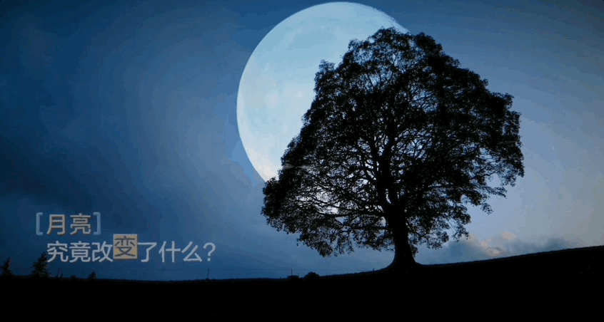 广告人干货库 小红书月亮节:一见月亮心就亮-广告人干货库